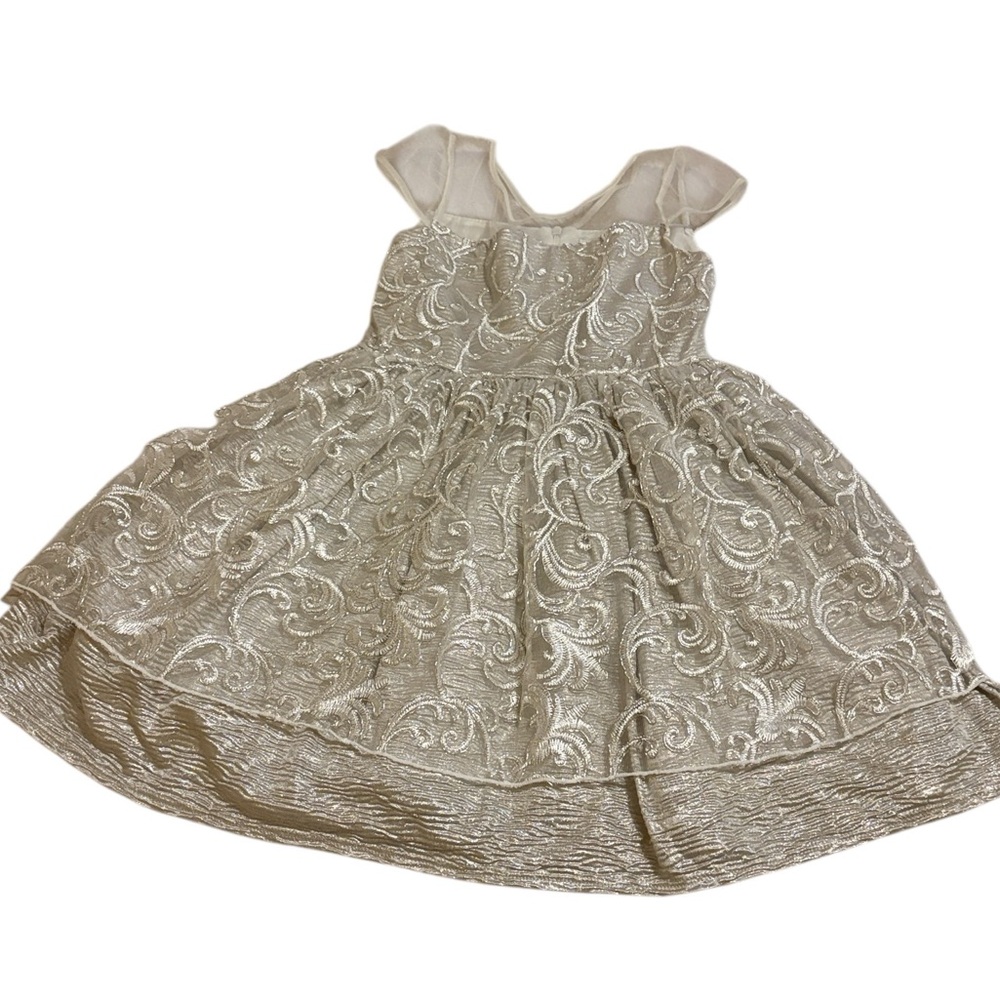 Sweet Heart Rose silver metallic with embroidered trim, tie and zip back,size 6X